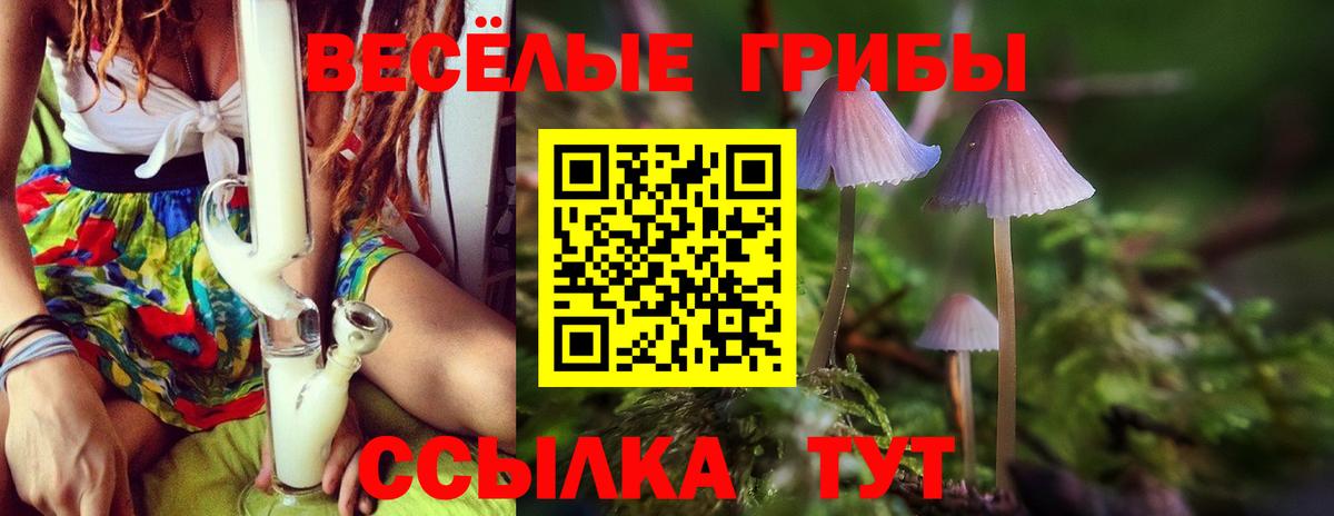 Галлюциногенные грибы Cubensis  Вход с VPN  сколько стоит  Качканар 